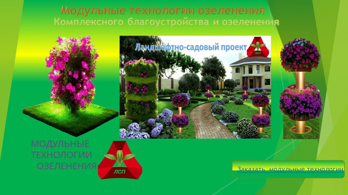 Описание картинки