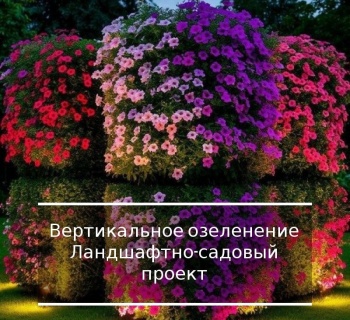 Преимущество 2