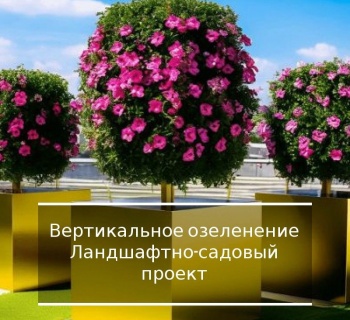 ЛСП проект 2