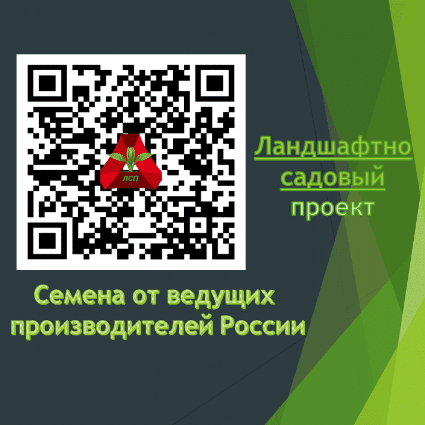 Туристы наслаждаются захватывающими видами снежных вершин, создающими атмосферу умиротворения и гармонии